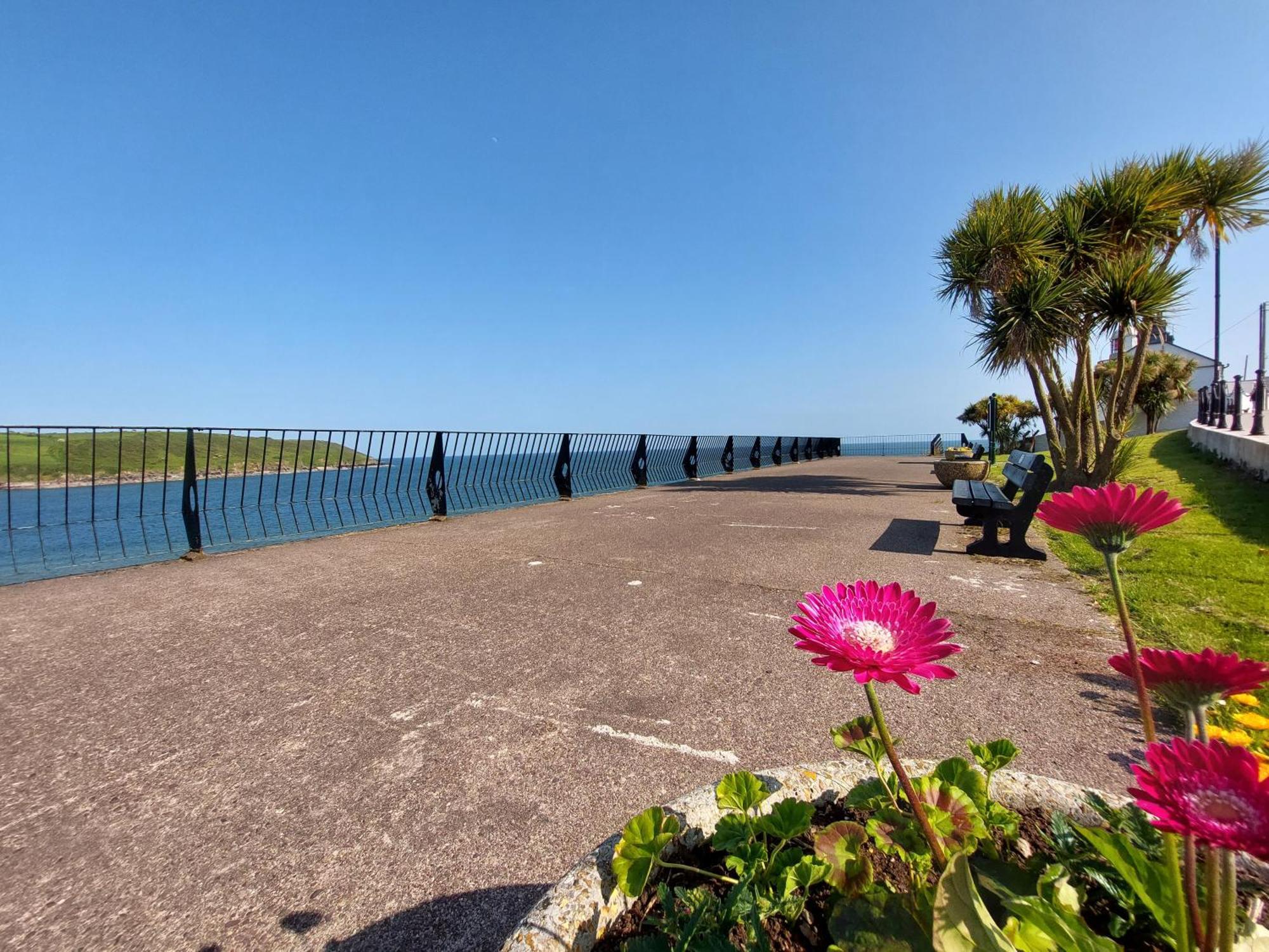 Sea Whispers - My Charming Costal Retreat In Youghal Kültér fotó